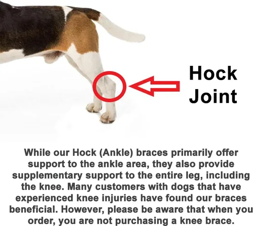 Vista 5 de Doggie Stylz Soportes para patas de perro, soporte ajustable