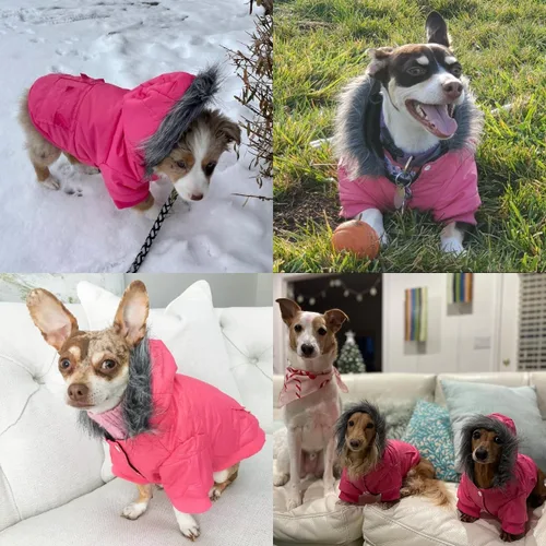 Vista 6 de LESYPET Abrigo para perro pequeño, chaqueta acolchada a prueba de viento para perros con agujero para correa, chaqueta extra cálida para perro, gris