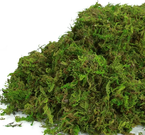 Vista 4 de Musgo artificial verde de 35 onzas (2.18 libras) para manualidades de interior, jardines de hadas, centros de mesa, decoración de boda