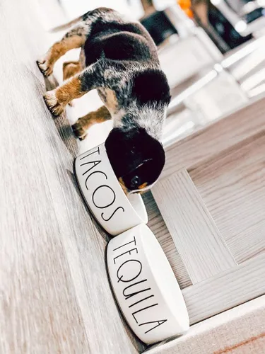 Vista 3 de Tacos and Tequila Funny Farmhouse Cereamic Pet Food Bowls (pequeño)