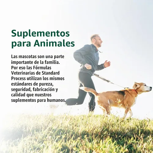 Vista 6 de Soporte para todo el cuerpo felino de proceso estándar, 90 tabletas