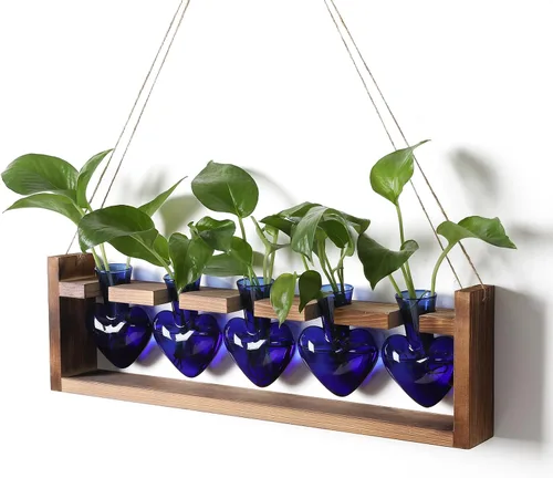 Vista 11 de Estaciones de propagación colgantes de terrario para plantas, regalo para mujeres, soporte para plantas de aire con soporte de madera, cristal