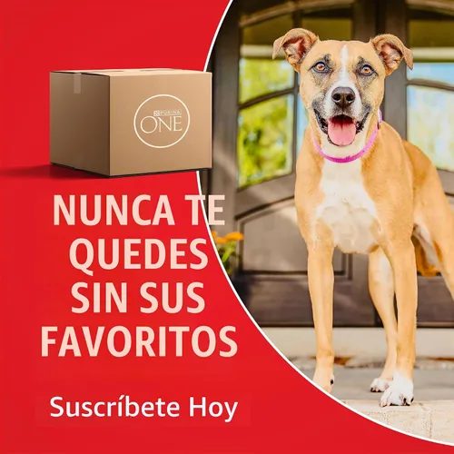 Vista 11 de Purina ONE True Instinct con una mezcla de pavo auténtico y venado, alimento para perros seco - Bolsa de 15 lb