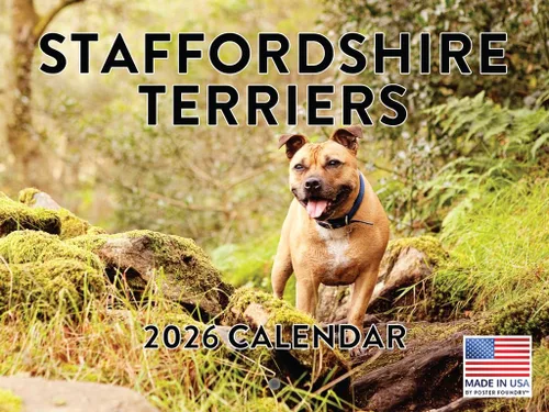 Vista 24 de Calendario mensual de pared Airedale Terrier Dog 2027 rojo (Airedale Terrier)