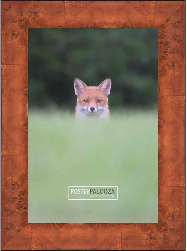 Vista 13 de Poster Palooza 5x5 Inch Traditional Honey Pecan Complete Wood Square Picture Frame with UV Acrylic Plexiglass, Foam Board Backing & Hardware