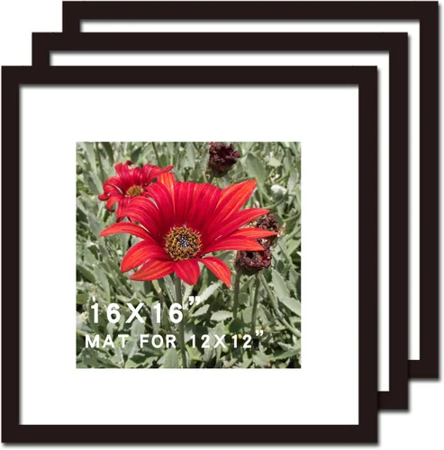 Vista 9 de Marco de fotos de 14 x 14 pulgadas, color negro, 2 unidades de madera maciza para paspartú de 10 x 10 pulgadas, marcos de fotos cuadrados para póster