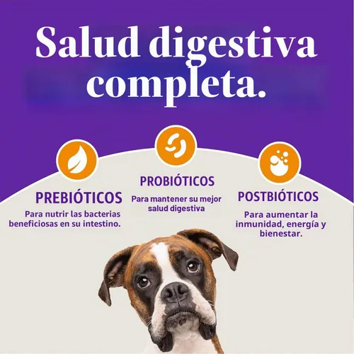 Vista 6 de Halo Holistic - Alimento para perros de raza pequeña, pollo sin jaula