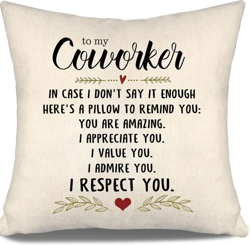 Vista 27 de En caso de que no lo diga lo suficiente aquí hay una almohada para recordarte que eres increíble, te aprecio, te quiero. Funda de almohada para tía