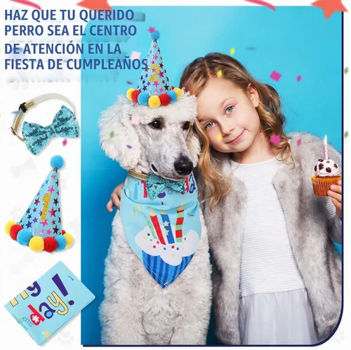 Vista 7 de Weewooday Suministros para Fiesta de Cumpleaños de Perro, Pañuelo de Cumpleaños para Niño y Niña, Bufanda Triangular, Sombrero de Fiesta, Corbata
