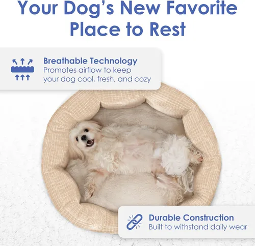 Vista 2 de American Kennel Club Cama para perro de 26 pulgadas, textura de palomitas de maíz, lavable, antideslizante, para perros medianos y grandes