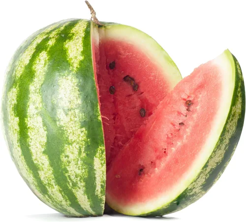 Vista 30 de 50 Hale's Best Cantaloupe Seeds for Planting - Sweet Aromatic Heirloom, Non-GMO, USA Grown by RDR Seeds