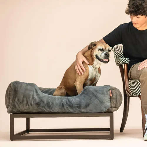 Vista 8 de FUZI Cama elevada para perro, camas elevadas de lujo para perros, funda extraíble y lavable a máquina, cama ortopédica para mascotas para interiores