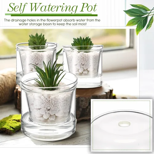 Vista 3 de 2 Piezas Macetas de Autoriego de 4 Pulgadas para Plantas de Interior Maceta de Vidrio Transparente Maceta Pequeña para Plantas con Platillo Depósito