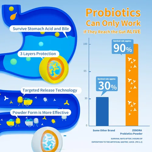 Vista 5 de Probióticos para mujeres, hombres y niños, prebióticos y probióticos en polvo para la salud intestinal digestiva e inmunológica, apoyan el sistema