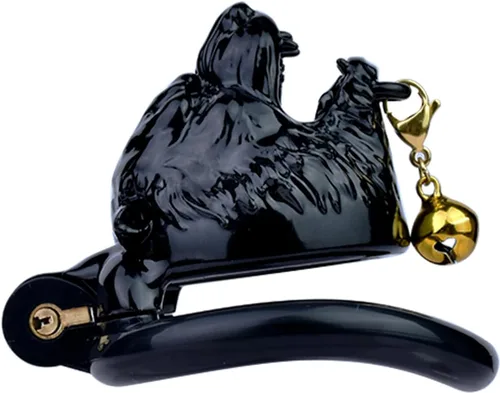 Vista 7 de Jaula ligera para el pene dispositivo de castidad con 4 anillos y llaves, jaula de pene masculina con bloqueo invisible y campana, juguetes sexuales
