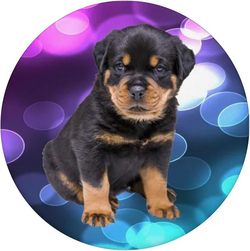 Vista 3 de Dixie Rottweiler cachorro – Rottie I Love perros – popsockets agarre y soporte para teléfonos y tabletas, Negro