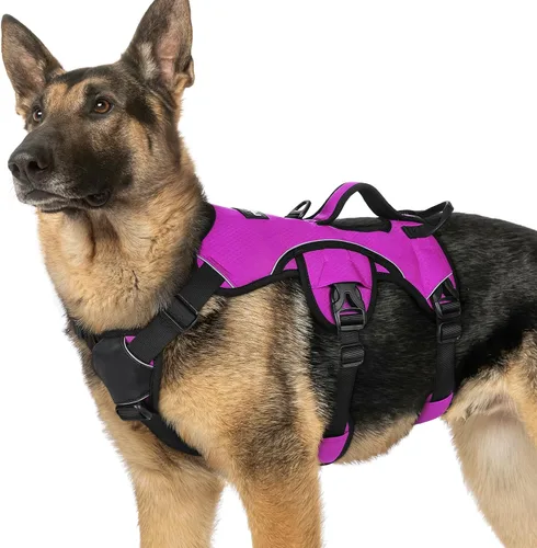 Vista 9 de rabbitgoo - Arnés para perros a prueba de fugas, arnés para mascotas acolchado y suave de cuerpo completo, arnés reflectante ajustable sin tirones