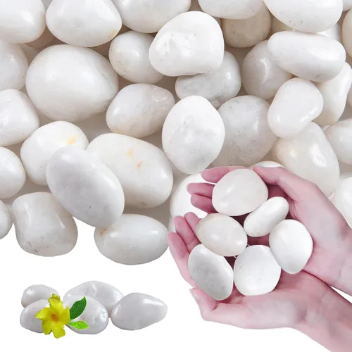 Vista 8 de 5 libras de piedras de río blancas como la nieve - Piedras decorativas - Guijarros para plantas de interior - Piedras para paisajismo al aire libre