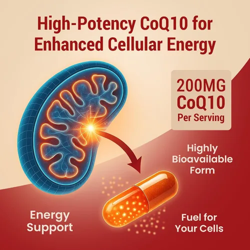 Vista 4 de CoQ10 200mg Vegano, Ultra CoQ10 - Suplementos de coenzima Q10 de ultra alta absorción - Suplemento antioxidante para la salud vascular y cardíaca
