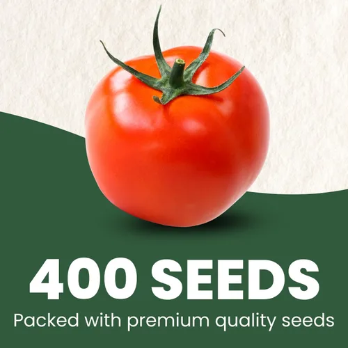 Vista 2 de Matt's Wild Cherry Tomate – 400 semillas premium para plantar – Tomates cherry prolíficos, dulces y de crecimiento vigoroso para la temporada 2026