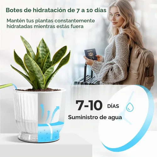 Vista 5 de T4U Macetas de riego automático para plantas de interior de 4 pulgadas Transparente