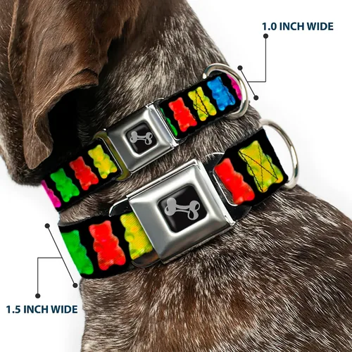 Vista 2 de Buckle-Down Collar de perro con hebilla de cinturón de seguridad, osos gomitas, negro/multicolor, 1.5 pulgadas de ancho, se adapta a cuello de 13-18