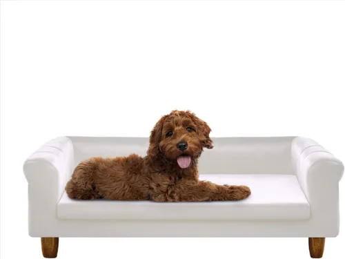 Vista 20 de Critter Sitters Sofá para Perros Rectangular de Microfibra Tostado de 36 Pulgadas para Perros de Tamaño Mediano, Cama Sofá Elevada Moderna