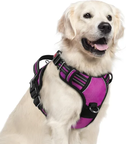 Vista 73 de Rabbitgoo - Arnés para perro de tamaño pequeño, sin tirones, 3 hebillas, fácil de poner y quitar Negro