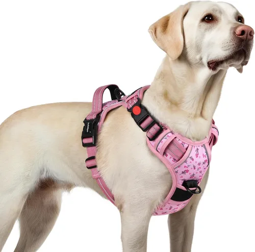Vista 44 de Rabbitgoo - Arnés para perro de tamaño pequeño, arnés para mascotas sin tirones con 3 hebillas, chaleco acolchado suave ajustable con mango