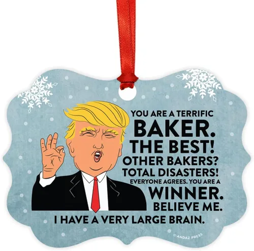 Vista 120 de Andaz Press Presidente Donald Trump Fancy Frame Recuerdo Adorno de Navidad Regalo de broma, excelente contador, 1 paquete, divertidas ideas