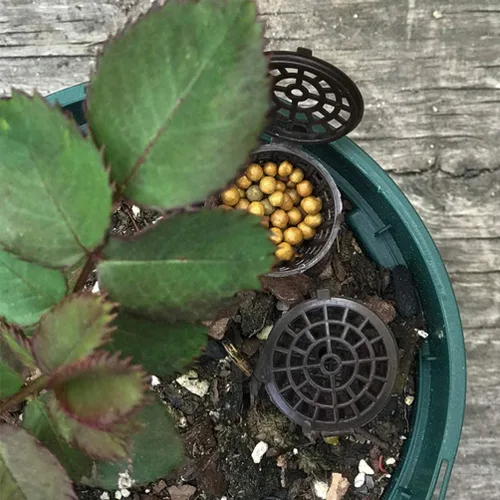 Vista 8 de Happyyami 50 cestas de fertilizantes de plástico portátiles, cesta de orquídeas fertilizantes, cesta de malla de fertilizante con tapa, caja