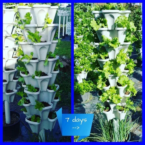 Vista 3 de Mr. Stacky Jardineras verticales (azul Tiffany)