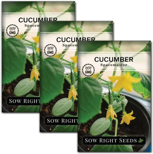Vista 7 de Sow Right Seeds - Semillas de pepino Spacemaster para plantar - Paquete de reliquia sin OMG con instrucciones para cultivar un huerto doméstico al
