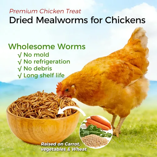 Vista 3 de RANZ 4.5 KG Gusanos secos sin OMGs para pollos, gusanos altos en proteínas, alimento premium para pollos, alimento perfecto para aves y golosinas