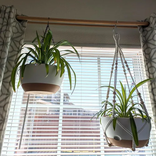 Vista 5 de Macetas colgantes de autorriego, juego de 2 colgadores de plantas de macramé bohemio, macetas colgantes con drenaje para interiores y exteriores