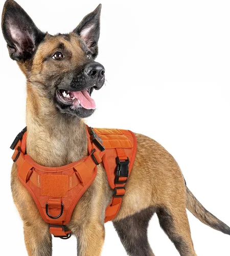 Vista 34 de rabbitgoo - Arnés táctico para perros pequeños, arnés resistente para mascotas con asa, chaleco de servicio sin tirones para razas pequeñas, chaleco