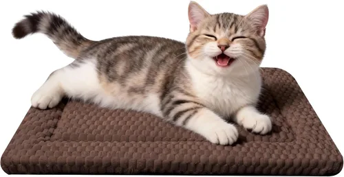 Vista 50 de Tapete para cama de perro, suave y cómodo, para jaula, cama y alfombrilla duradera para perros y gatos, ideal para jaulas, perreras y uso doméstico