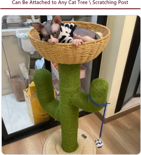 Vista 6 de SHENGOCASE Cat Tower Tree - Accesorios de repuesto para árbol de mesa, cesta de mimbre tejida a mano con cojín suave (1 unidad)