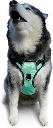 Vista 21 de Arnés antitirones para perro pequeño con 2 hebillas de liberación rápida y mango de fácil control, chaleco suave reflectante sin estrangulamiento