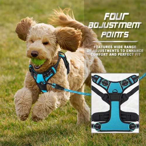 Vista 251 de BARKBAY - Arnés para perro sin tirones con clip frontal, material resistente y reflectante, asa de fácil control para pasear perros grandes