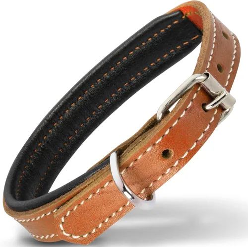 Vista 19 de Filbert Collar de cuero para perro, collar de cuero genuino para perros pequeños, acolchado de lujo, fuerte, ajustable para todas las razas, hebilla