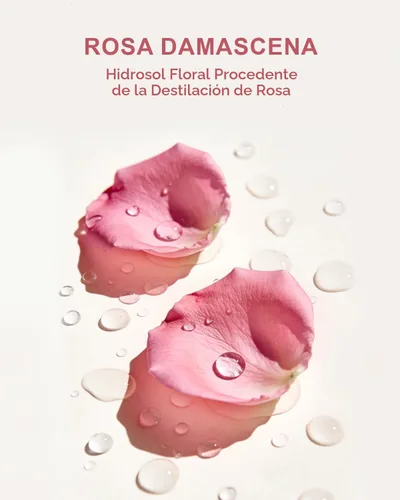 Vista 4 de Yoken Spray de agua de rosas orgánica de 8 onzas, niebla facial orgánica USDA, sin alcohol