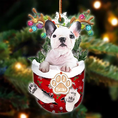 Vista 16 de NAZENTI Adorno Navideño de Bolsillo Personalizado de Affenpinscher en la Nieve, Adorno de Forma Acrílica de Perro, Adorno de Navidad 2023, Adorno