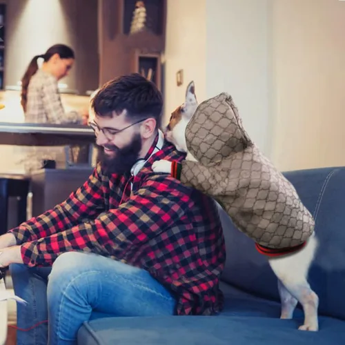 Vista 4 de Sudadera con capucha para perro de diseño clásico, abrigo de lujo para cachorros, abrigo cálido para mascotas, diseño de cremallera, ropa de peluche