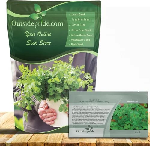 Vista 8 de Outsidepride Semillas anuales de jardín de hierbas de cilantro cilantro para microverdes, brotes y cocina de 1 oz