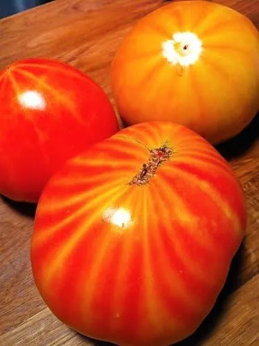 Vista 7 de Más de 30 semillas gigantes de tomate Mr. Stripey de 1-2 libras, sin OMG, bajas en ácido, indeterminadas, polinizadas abiertas, sabor rico