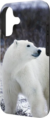 Vista 2 de Polar Bears Animal Nature Case for iPhone 17
