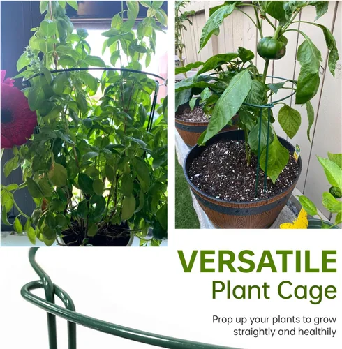 Vista 3 de JOYSEUS Paquete de 6 estacas de soporte para plantas, estacas de metal para plantas de jardín, anillo de soporte de plantas medio redondo verde
