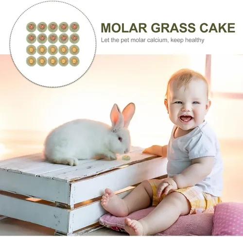 Vista 8 de 20Pcs Rabbit Chew Toys Grass Biscuits for Bunny Teeth Grinding