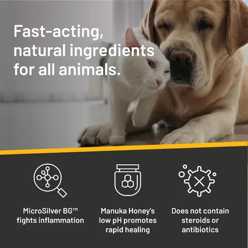 Vista 6 de Silver Honey Rapid Ear Care Vet Strength - Toallitas para mascotas, 50
